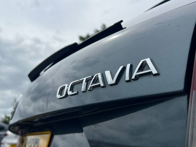 2019 Skoda Octavia 2.0 TDI CR SE L 5dr DSG [7 speed]