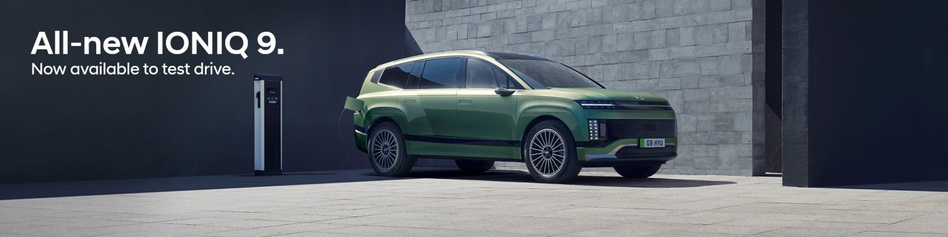 Hyundai IONIQ 9 Q4